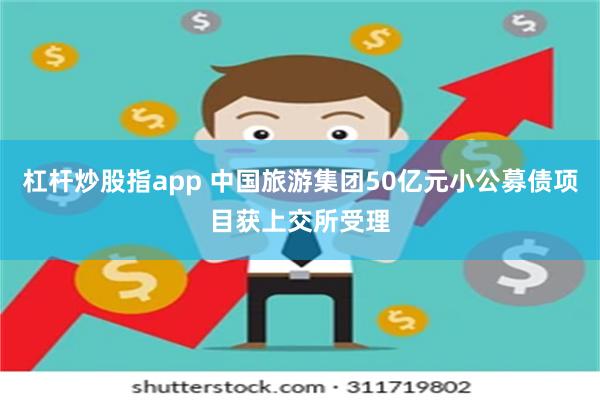 杠杆炒股指app 中国旅游集团50亿元小公募债项目获上交所受理