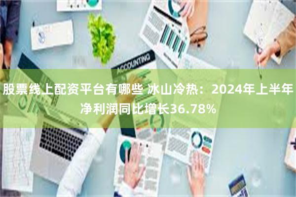 股票线上配资平台有哪些 冰山冷热：2024年上半年净利润同比增长36.78%