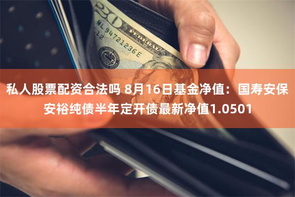 私人股票配资合法吗 8月16日基金净值：国寿安保安裕纯债半年定开债最新净值1.0501