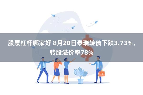 股票杠杆哪家好 8月20日泰瑞转债下跌3.73%，转股溢价率78%