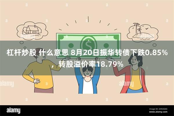 杠杆炒股 什么意思 8月20日振华转债下跌0.85%，转股溢价率18.79%