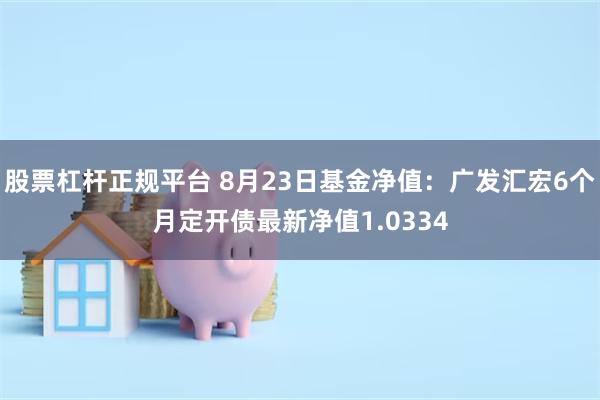 股票杠杆正规平台 8月23日基金净值：广发汇宏6个月定开债最