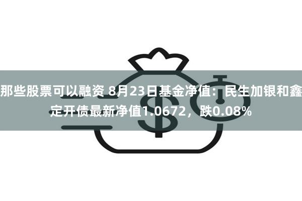 那些股票可以融资 8月23日基金净值：民生加银和鑫定开债最新