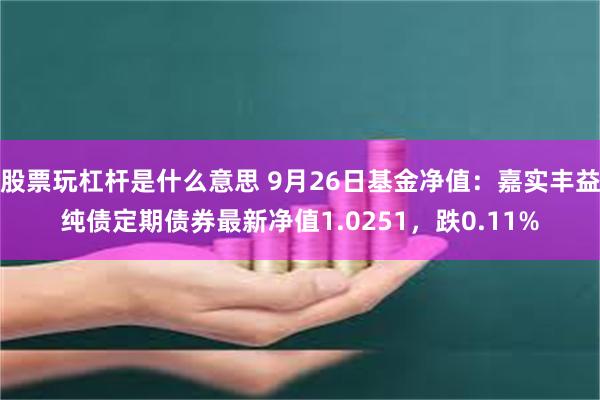 股票玩杠杆是什么意思 9月26日基金净值：嘉实丰益纯债定期债