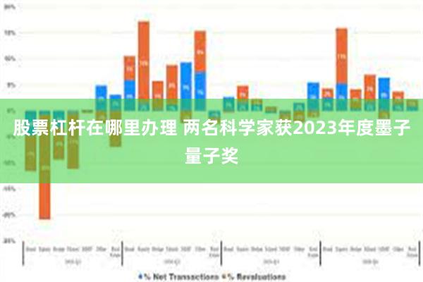 股票杠杆在哪里办理 两名科学家获2023年度墨子量子奖