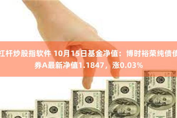 杠杆炒股指软件 10月15日基金净值：博时裕荣纯债债券A最新