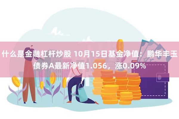 什么是金融杠杆炒股 10月15日基金净值：鹏华丰玉债券A最新