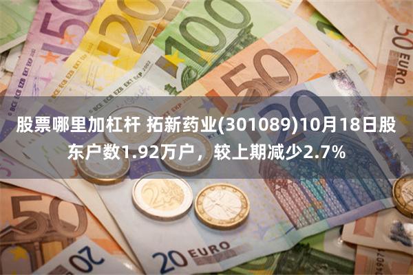 股票哪里加杠杆 拓新药业(301089)10月18日股东户数