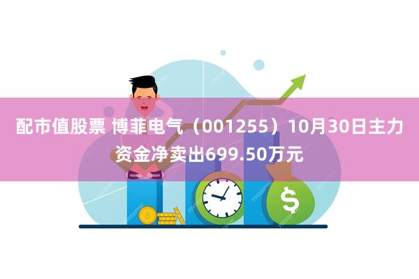 配市值股票 博菲电气（001255）10月30日主力资金净卖