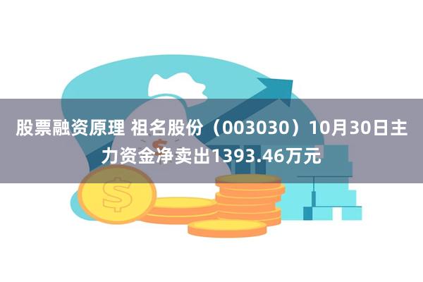 股票融资原理 祖名股份（003030）10月30日主力资金净