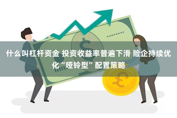 什么叫杠杆资金 投资收益率普遍下滑 险企持续优化“哑铃型”配