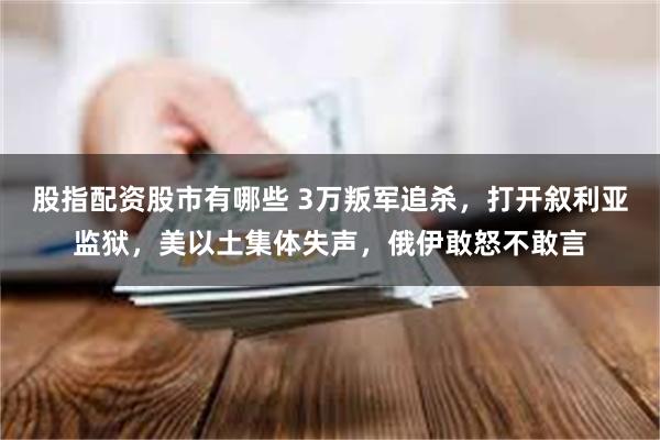 股指配资股市有哪些 3万叛军追杀，打开叙利亚监狱，美以土集体失声，俄伊敢怒不敢言