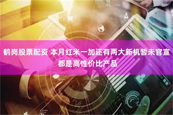 鹤岗股票配资 本月红米一加还有两大新机暂未官宣 都是高性价比