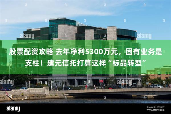 股票配资攻略 去年净利5300万元，固有业务是支柱！建元信托