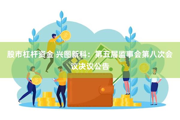 股市杠杆资金 兴图新科：第五届监事会第八次会议决议公告